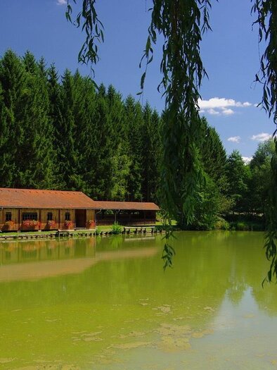 Ein ruhiger See mit grünlichem Wasser und umgeben von Bäumen. Im Hintergrund steht ein gemütliches Holzhaus am Ufer. | © Thermen- & Vulkanland