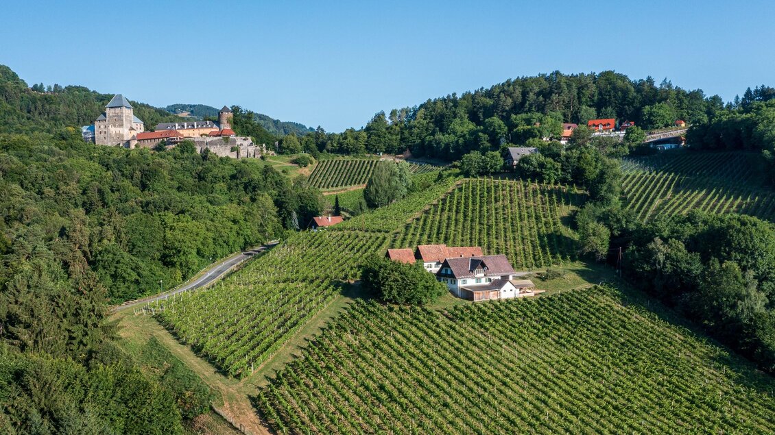 Eine malerische Landschaft mit Weinbergen und einem historischen Schloss im Hintergrund. Der Himmel ist klar und die Natur umgibt die Gebäude. | © pixelmaker_WEIN Steiermark