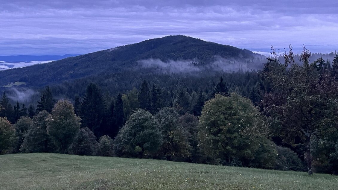 Eine sanfte Hügellandschaft mit Bäumen und Nebel in der Ferne. Der Himmel ist bewölkt und die Umgebung wirkt ruhig und friedlich. | © Jakob Gosch