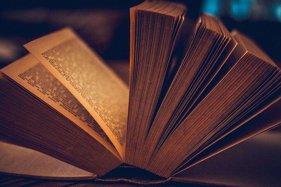 Ein geöffnetes Buch mit sichtbaren Seiten. Die Seiten sind ordentlich aufgeschlagen und der Fokus liegt auf der Textur der Seiten. | © Pixabay