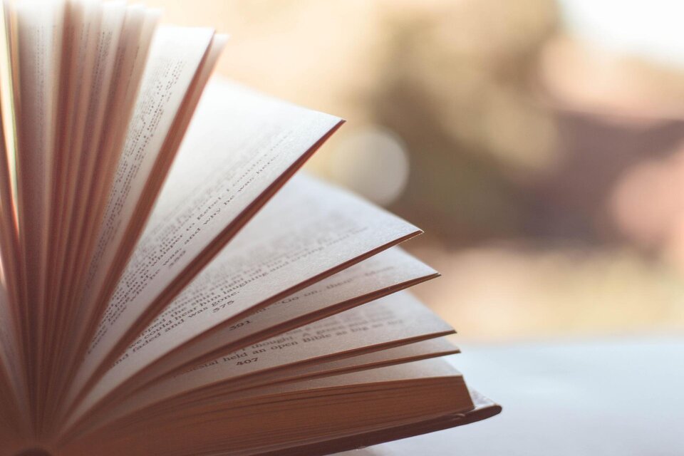 Ein offenes Buch mit umblätternden Seiten ist im Vordergrund zu sehen. Der Hintergrund ist unscharf, was einen ruhigen Eindruck vermittelt. | © Pixabay