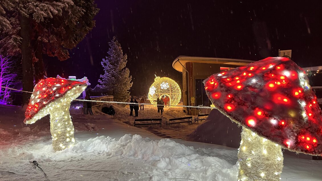 Ein winterlicher Ort mit festlich beleuchteten Pilzen aus Weihnachtslichtern. Im Hintergrund sind verschneite Bäume und eine leuchtende Kugel zu sehen. | © Mariazeller Bürgeralpe