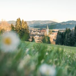 Eine malerische Landschaft mit sanften Hügeln und Wäldern. Im Hintergrund ist eine kleine Stadt mit einem Kirchturm und Berge in der Ferne zu sehen.