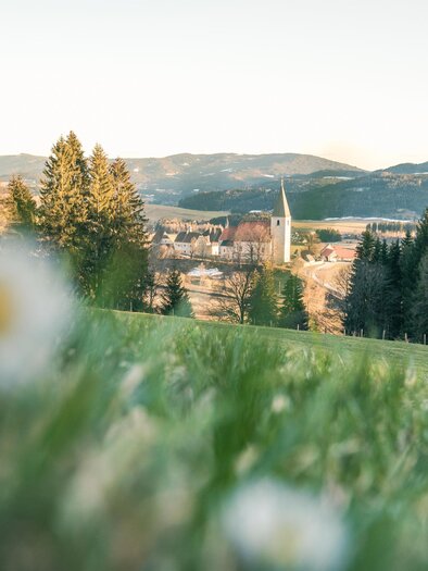 A picturesque landscape with gentle hills and forests. In the background, a small town with a church tower and mountains in the distance can be seen.