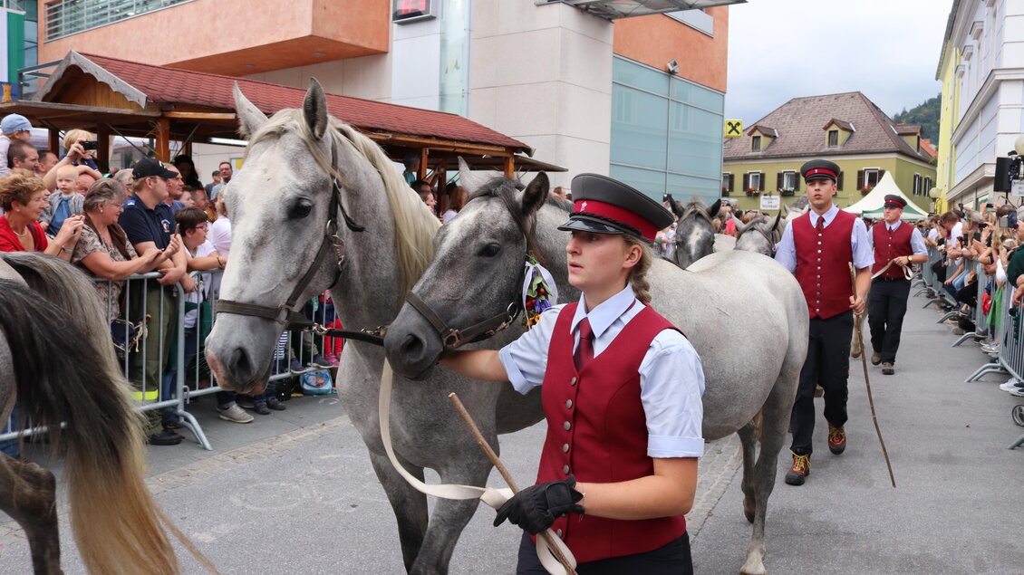 Eine Gruppe von grauen Pferden wird von Menschen in traditioneller Kleidung entlang einer belebten Straße geführt. Viele Zuschauer beobachten das Geschehen. | © Robert Cescutti