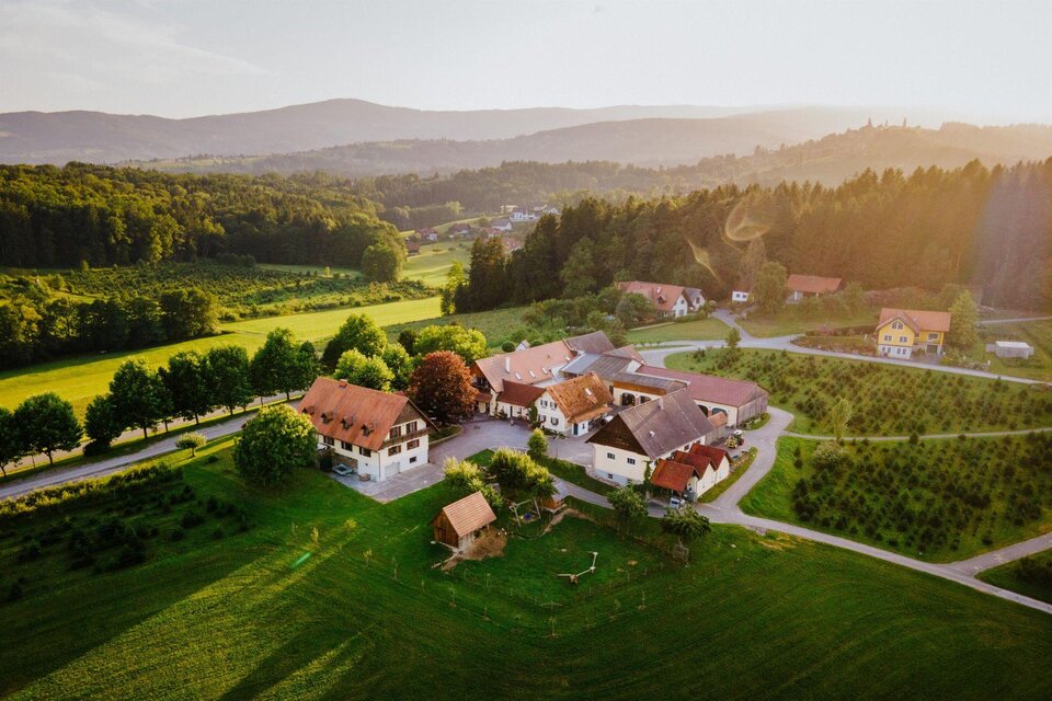 Ein malerisches Dorf in einer grünen Landschaft mit Bergen im Hintergrund. Die Gebäude sind von Bäumen und Wiesen umgeben, und die Sonne scheint sanft auf die Szene. | © Krainerhof - Peter Reiter