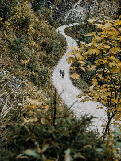 Ein gewundener Weg durch eine herbstliche Landschaft. Zwei Personen gehen entlang des Weges zwischen bunten Bäumen. | © Max Mauthner