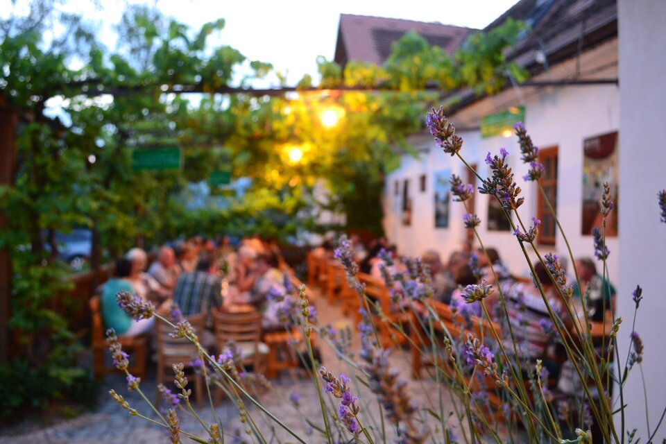 Ein gemütlicher Außenbereich eines Restaurants mit vielen Gästen. Lila Lavendelblüten im Vordergrund und eine angenehme Beleuchtung schaffen eine einladende Atmosphäre. | © Buschenschank Breitenberger