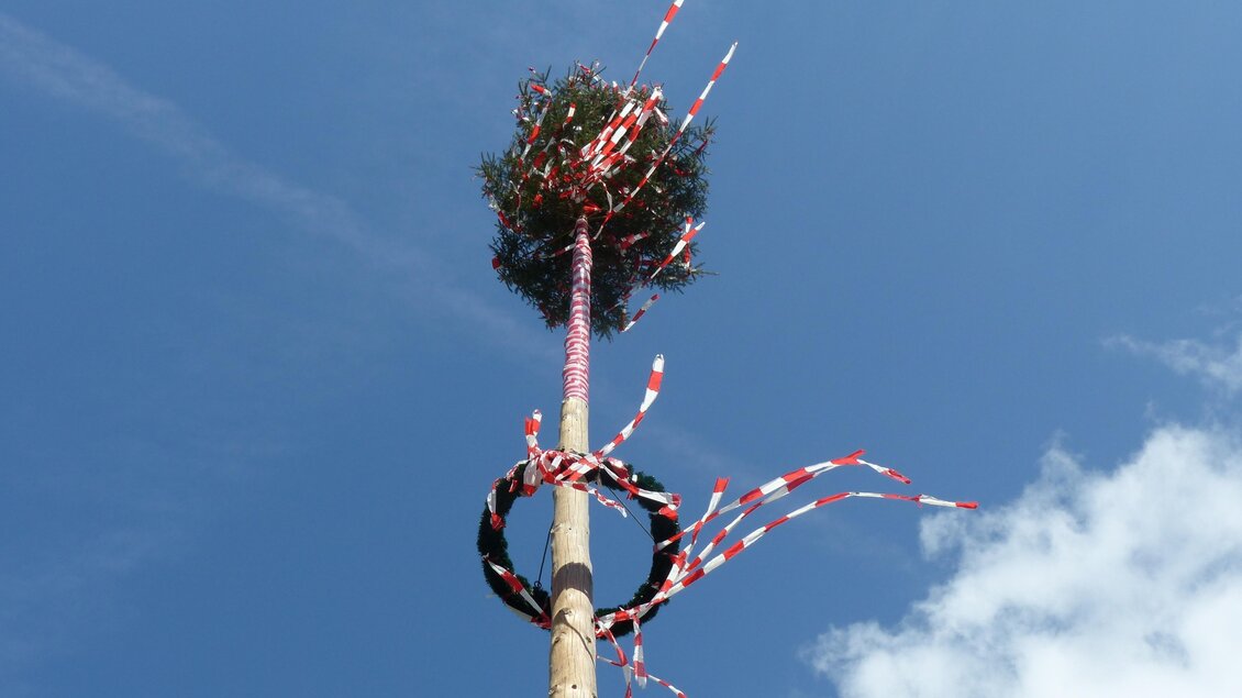 Ein Maibaum mit bunten Bändern steht unter einem klaren Himmel. Der Baum hat oben eine grüne Krone und ist von roten und weißen Streifen umgeben. | © Pixabay