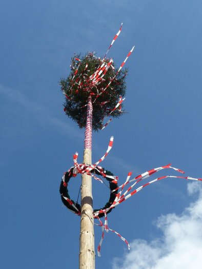 Ein Maibaum mit bunten Bändern steht unter einem klaren Himmel. Der Baum hat oben eine grüne Krone und ist von roten und weißen Streifen umgeben. | © Pixabay