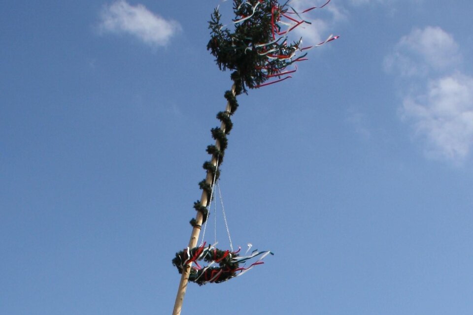 Ein geschmückter Maibaum mit bunten Bändern und Zweigen, der hoch in den blauen Himmel ragt. Die Wolken im Hintergrund verleihen dem Bild eine fröhliche Atmosphäre. | © Erlebnisregion mUrtal