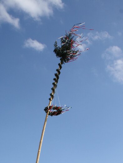 Ein geschmückter Maibaum mit bunten Bändern und Zweigen, der hoch in den blauen Himmel ragt. Die Wolken im Hintergrund verleihen dem Bild eine fröhliche Atmosphäre. | © Erlebnisregion mUrtal