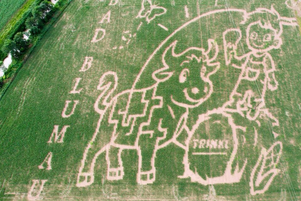 Ein großer Feldschnitt zeigt eine glückliche Kuh und einen Jungen, die miteinander interagieren. Daneben steht der Schriftzug "Bad Blumau". | © Familie Trinkl
