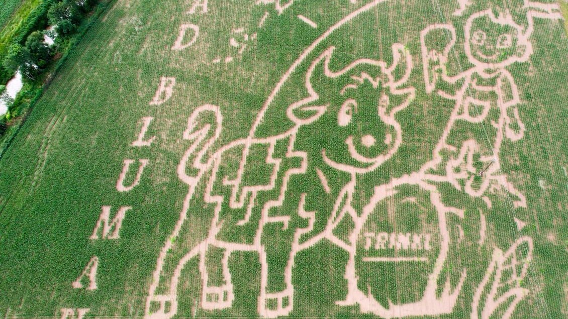 Ein großer Feldschnitt zeigt eine glückliche Kuh und einen Jungen, die miteinander interagieren. Daneben steht der Schriftzug "Bad Blumau". | © Familie Trinkl