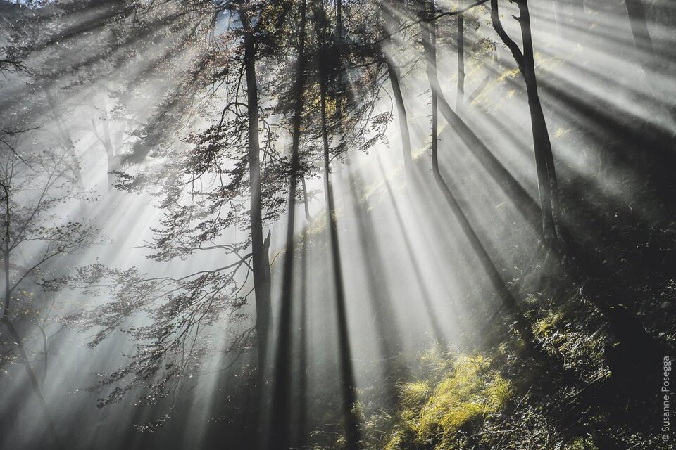 Magie des Herbstes