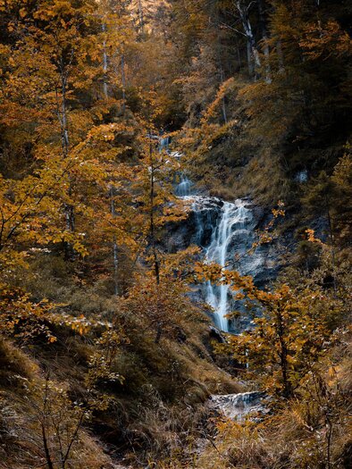 Ein kleiner Wasserfall fließt durch eine herbstliche Landschaft mit orangefarbenen und gelben Blättern. Die Umgebung ist ruhig und naturnah. | © TV Gesäuse