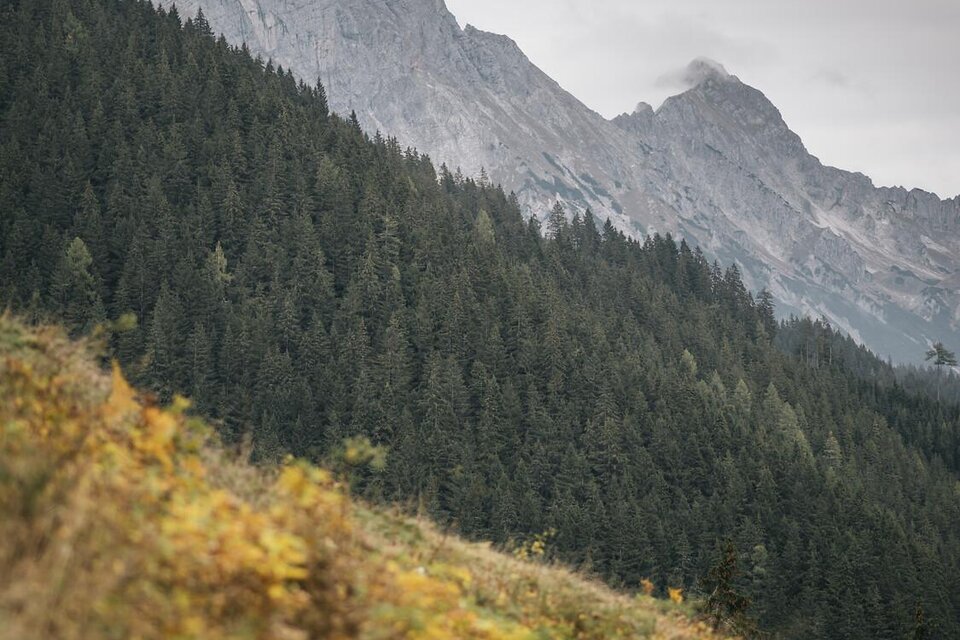 Ardning I Gesäuse I Steiermark | © TV Gesäuse