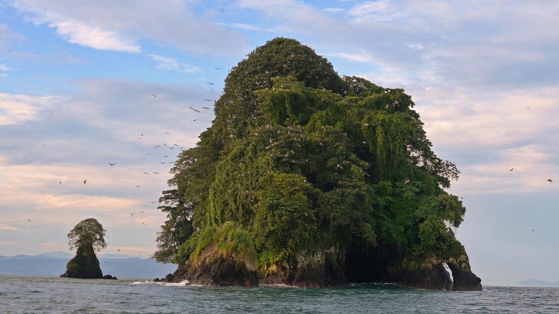 Eine grüne, bewaldete Insel im Wasser mit einem klaren Himmel im Hintergrund. Im Vordergrund ist eine kleinere Felsinsel zu sehen. | © Harald Pokieser