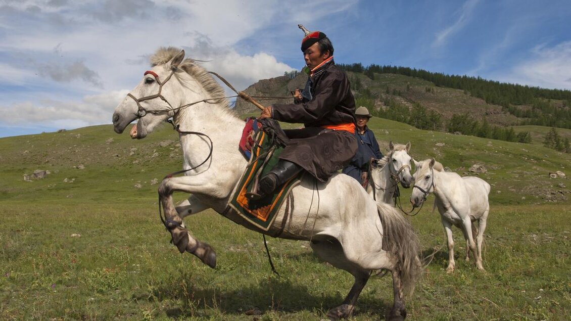 Ein Reiter auf einem weißen Pferd, das auf der Wiese springt. Im Hintergrund sind weitere Pferde und grüne Hügel sichtbar. | © Vivien Lemaignan