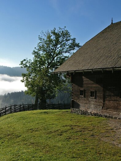 Eine alte Holzhütte steht auf einer grünen Wiese mit Blick auf neblige Täler. Im Hintergrund sind Bäume und der klare Himmel sichtbar. | © Jakob Hiller