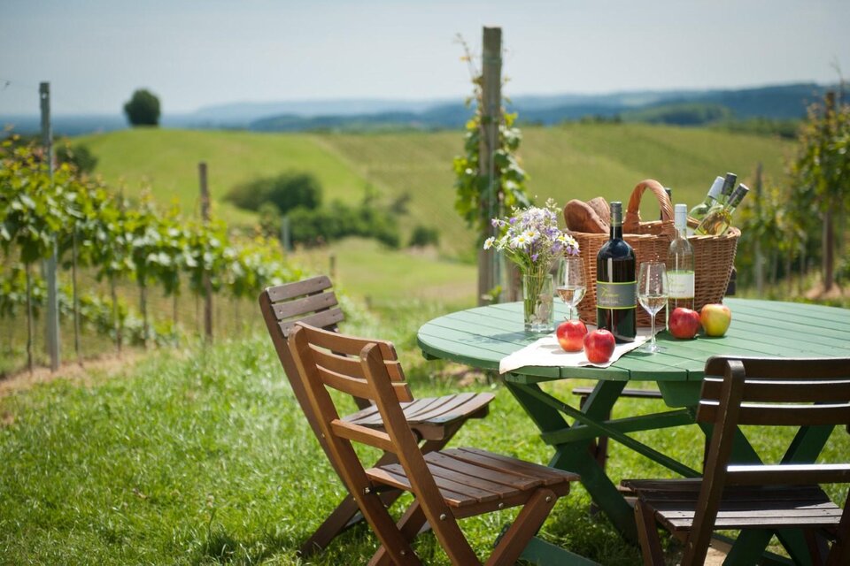 Ein einladender Tisch im Freien mit Wein, Obst und Blumen, umgeben von sanften Weinbergen. Die Landschaft ist grün und malerisch, unter einem klaren Himmel. | © Buschenschank Tinnauer