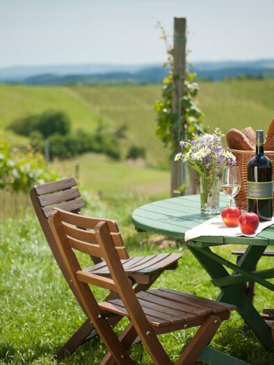 Ein einladender Tisch im Freien mit Wein, Obst und Blumen, umgeben von sanften Weinbergen. Die Landschaft ist grün und malerisch, unter einem klaren Himmel. | © Buschenschank Tinnauer