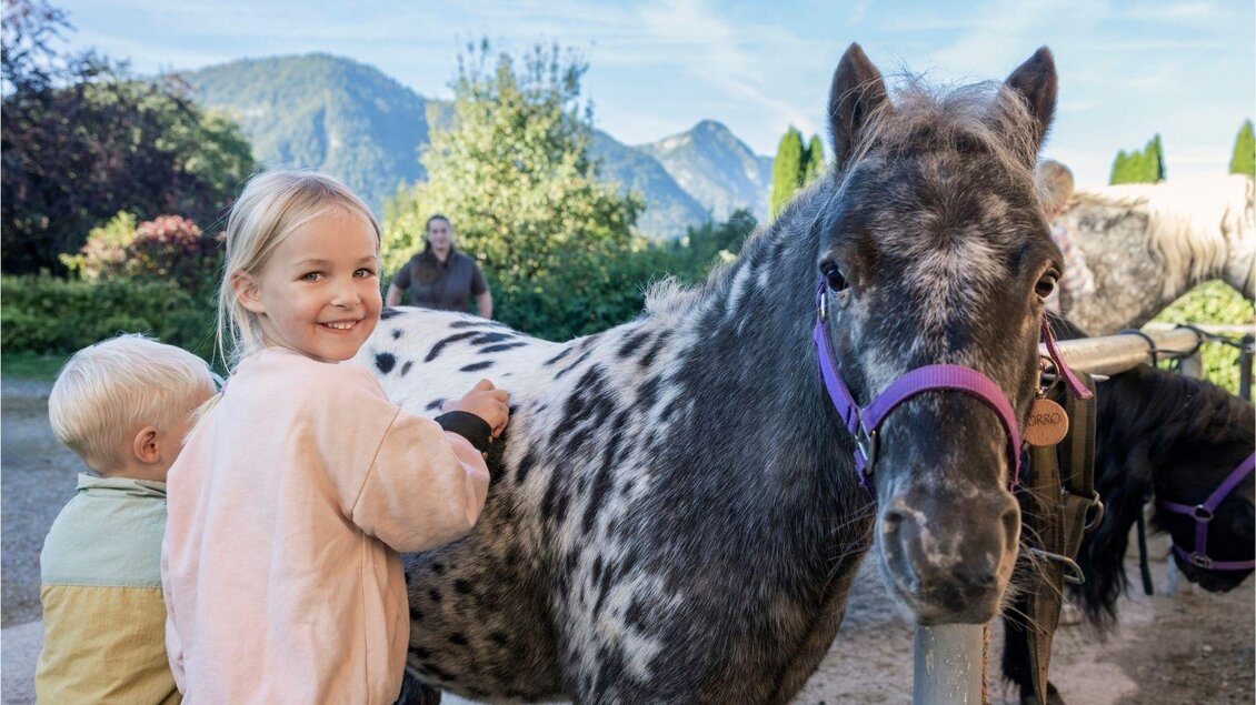 Ein Mädchen mit einem breiten Lächeln bürstet ein geflecktes Pferd. Im Hintergrund sind Berge und weitere Personen zu sehen. | © www.zloam.at