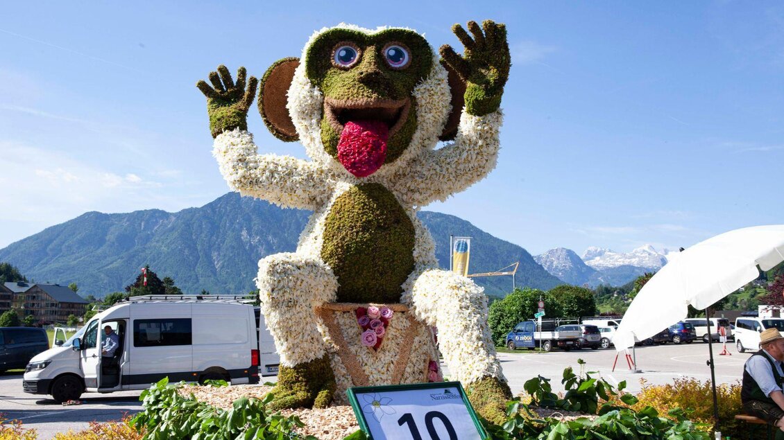 Die Narzissenfigur Affe, der die Zunge herausstreckt und mit den Händen herumalbert, mit der Startnummer 10. | © Narzissenfestverein_Sima