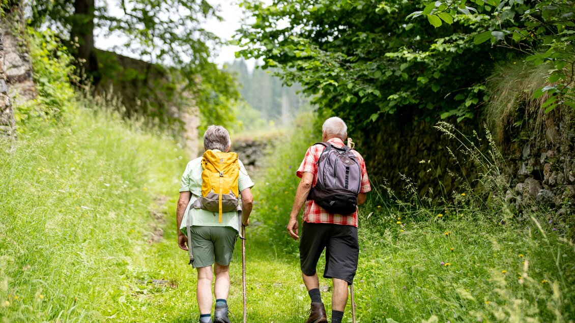 Zwei Wanderer gehen auf einem grünen Pfad entlang. Umgeben von Bäumen und Natur genießen sie die frische Luft. | © Tv Murau