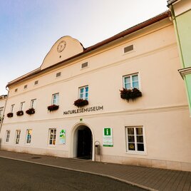 Ein historisches Gebäude mit der Aufschrift "Naturmuseum" an der Fassade. Die Fenster sind mit Blumenkästen geschmückt, und die Straße ist ruhig. | © TV Murau