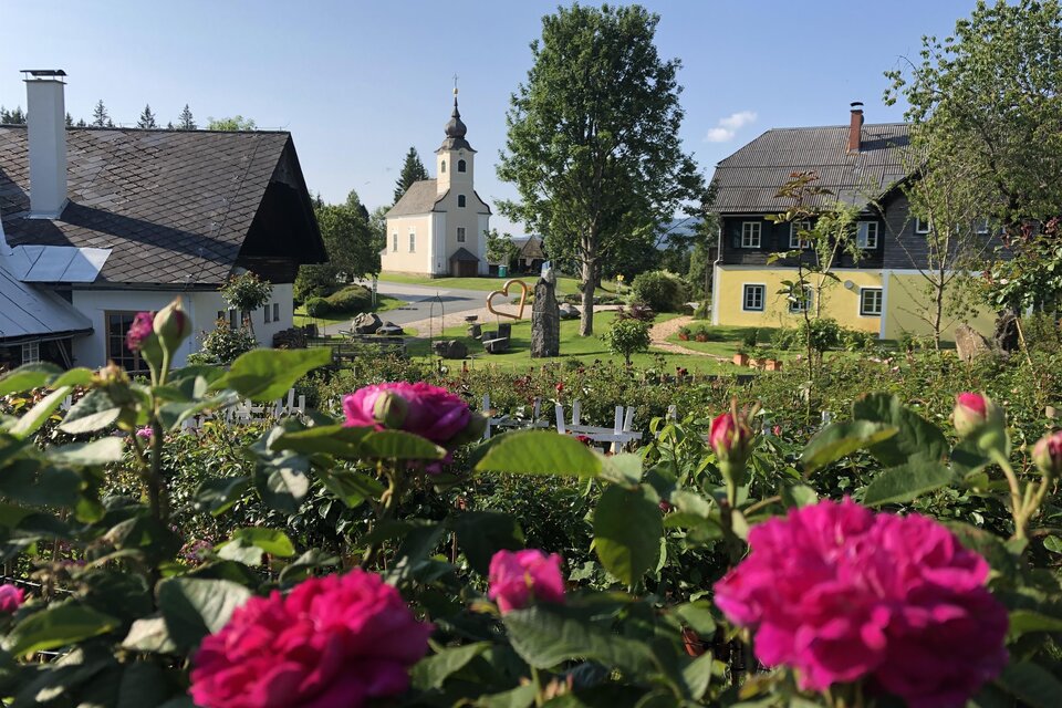 Eine traumhafte Landschaft mit bunten Rosen im Vordergrund. Im Hintergrund ist eine kleine Kirche und einige traditionelle Häuser zu sehen. | © TV Südsteiermark