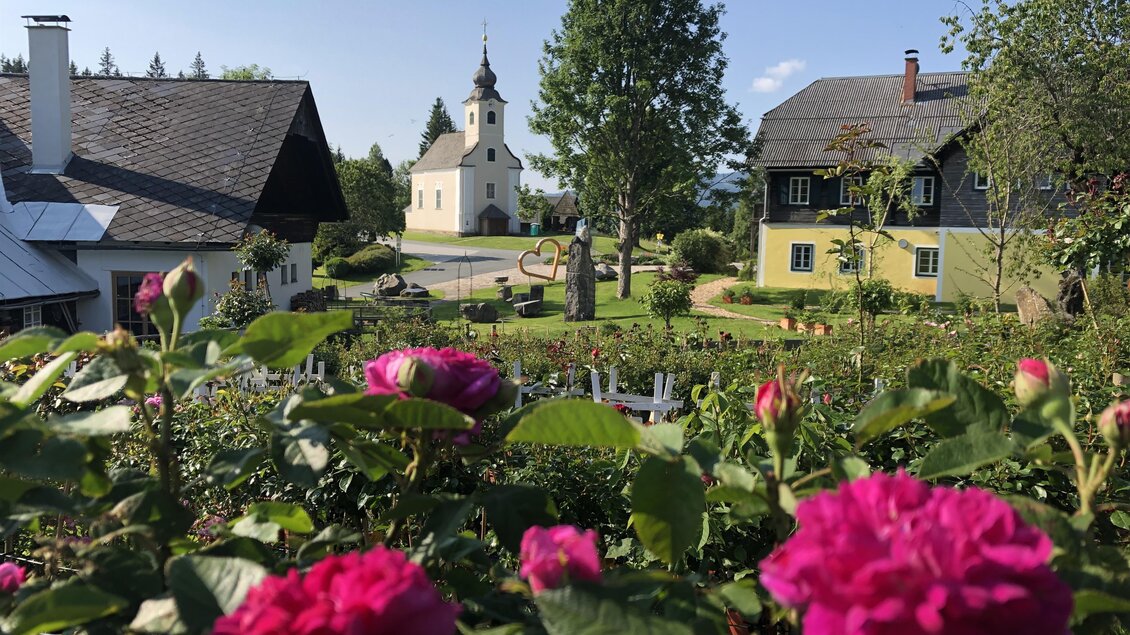 Eine traumhafte Landschaft mit bunten Rosen im Vordergrund. Im Hintergrund ist eine kleine Kirche und einige traditionelle Häuser zu sehen. | © TV Südsteiermark