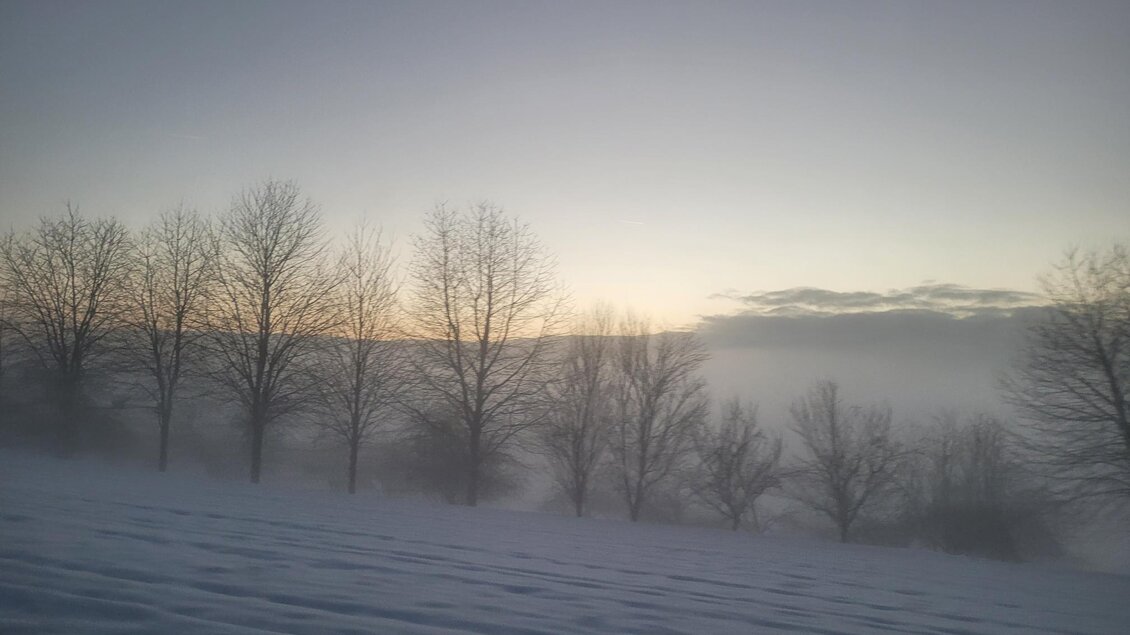 Eine winterliche Landschaft mit verschneiten Bäumen und einem nebligen Hintergrund. Der Himmel ist klar und zeigt zarte Farben des Sonnenaufgangs. | © TV Südsteiermark - Irene Löschnig