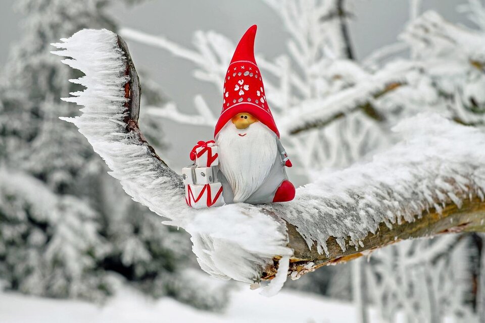 Ein kleiner Weihnachtswichtel mit rotem Hut sitzt auf einem mit Schnee bedeckten Ast. Er hält ein Geschenk in der Hand und umgeben von einer winterlichen Landschaft. | © Pixabay.com