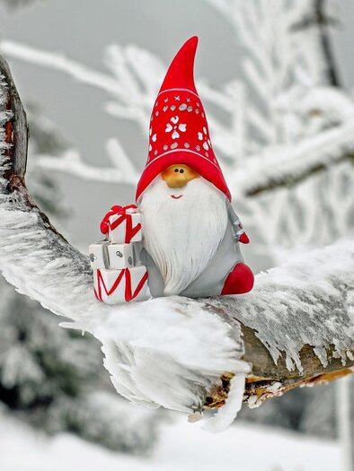 Ein kleiner Weihnachtswichtel mit rotem Hut sitzt auf einem mit Schnee bedeckten Ast. Er hält ein Geschenk in der Hand und umgeben von einer winterlichen Landschaft. | © Pixabay.com