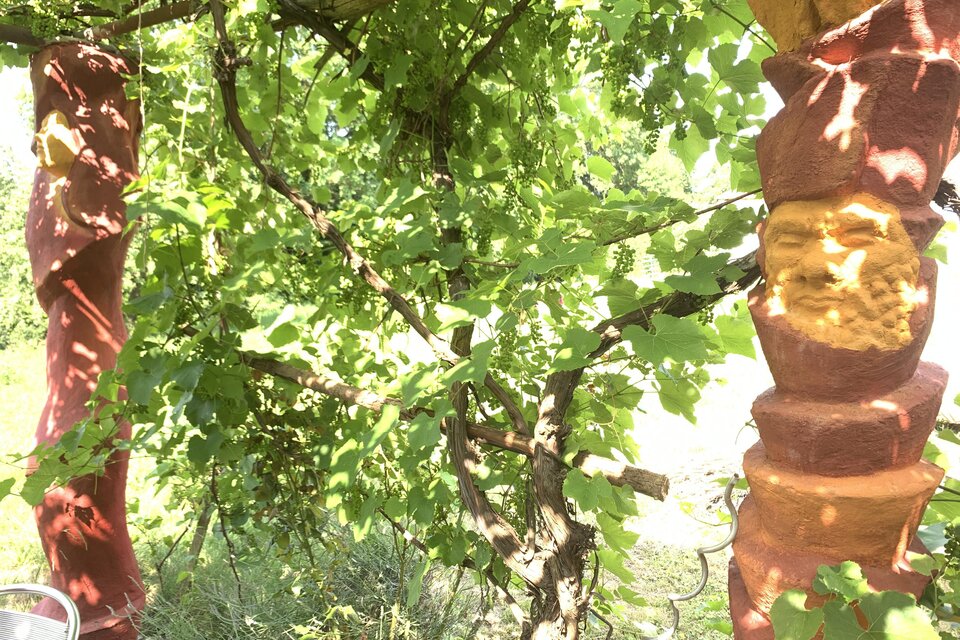 Kunstvoll gestalteter Weinlauben-Pergola von Famiie Liegle in Maierhofen mit reifenden Trauben und farbigen Skulpturen zwischen den Rebstöcken – Wein, Kunst und Natur vereinen sich zu einem besonderen Genusserlebnis in der Erlebnisregion Thermen- & Vulkanland. | © Peter Liegle
