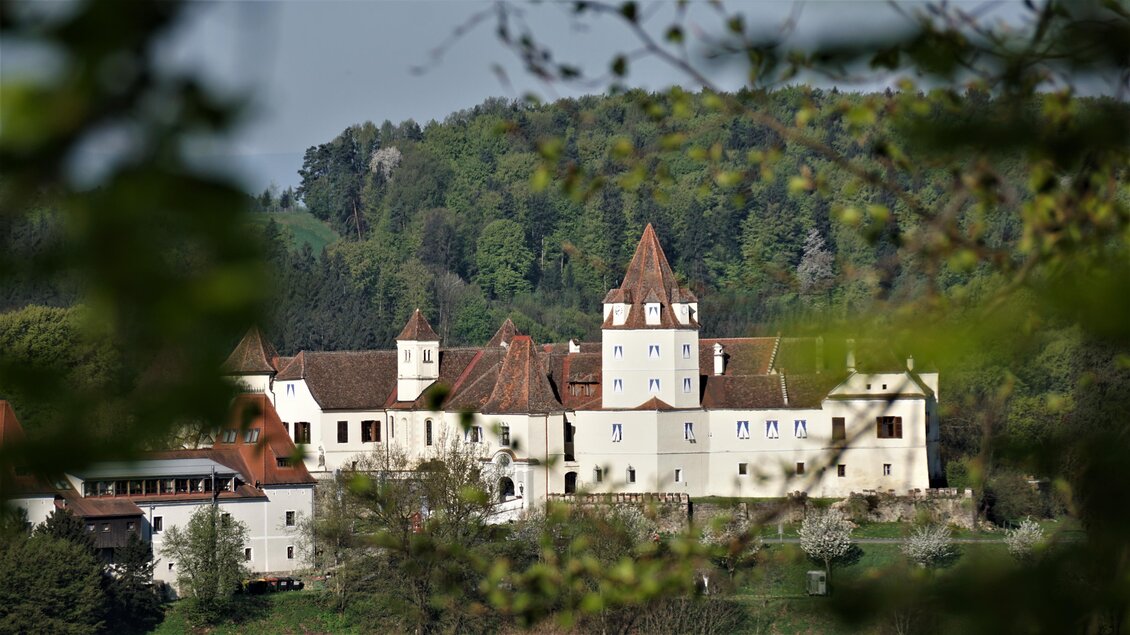 Ein wunderschönes Schloss, umgeben von üppigem Grün und Bäumen. Die Architektur ist historisch und beeindruckend, mit Türmen und einem malerischen Ausblick. | © Kunsthandwerk Schloss Kornberg, Leonhard Bardeau