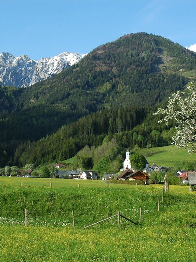 A picturesque landscape with green meadows and snow-covered mountains in the background. In the foreground stands a single tree and a small village is visible.