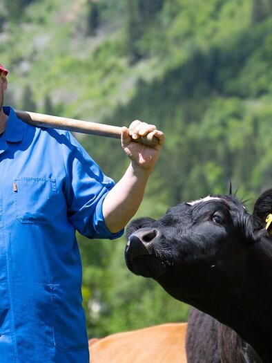 A farmer stands in a green meadow holding an axe. Next to him is a cow, and in the background, mountains can be seen. | © Oststeiermark Tourismus