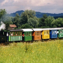A colorful steam locomotive travels through a green landscape. In the background, gentle hills and blooming trees can be seen. | © Riffel Helmuth