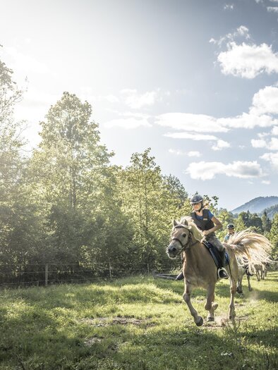 Ein Reiter auf einem Pferd galoppiert durch eine grüne Wiese. Im Hintergrund sind Bäume und sanfte Hügel unter einem klaren Himmel zu sehen.