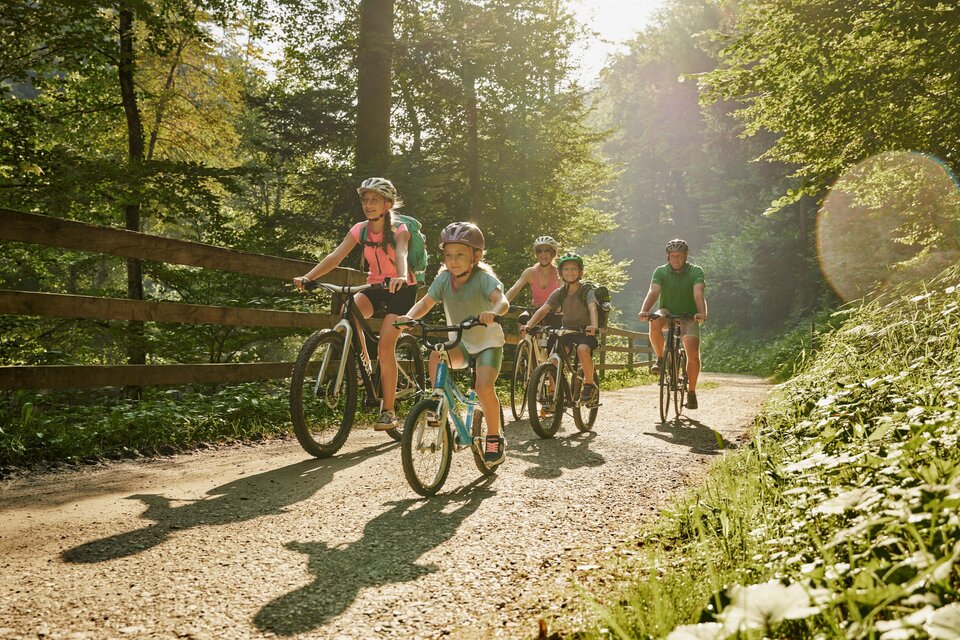 Eine Gruppe von Radfahrern fährt auf einem Waldweg. Die Sonnenstrahlen scheinen durch die Bäume und schaffen eine angenehme Atmosphäre. | © Naturpark Pöllauer Tal | RSC Pöllauberg