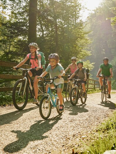 A group of cyclists is riding on a forest path. The sunlight is shining through the trees, creating a pleasant atmosphere. | © Naturpark Pöllauer Tal | RSC Pöllauberg