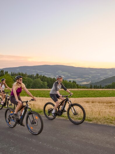 Eine Gruppe von Radfahrern fährt auf einem Waldweg. Die Sonnenstrahlen scheinen durch die Bäume und schaffen eine angenehme Atmosphäre. | © Motion Manager