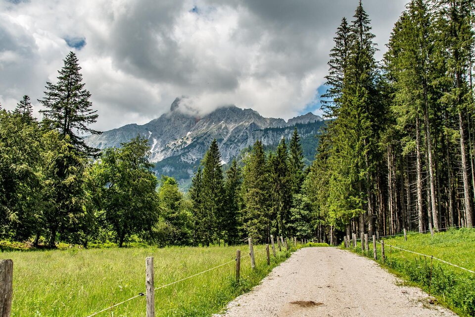 Ein schmaler Weg führt durch einen Wald mit hohen Bäumen. Im Hintergrund sind majestätische Berge unter einem bewölkten Himmel zu sehen. | © Christian Scheucher