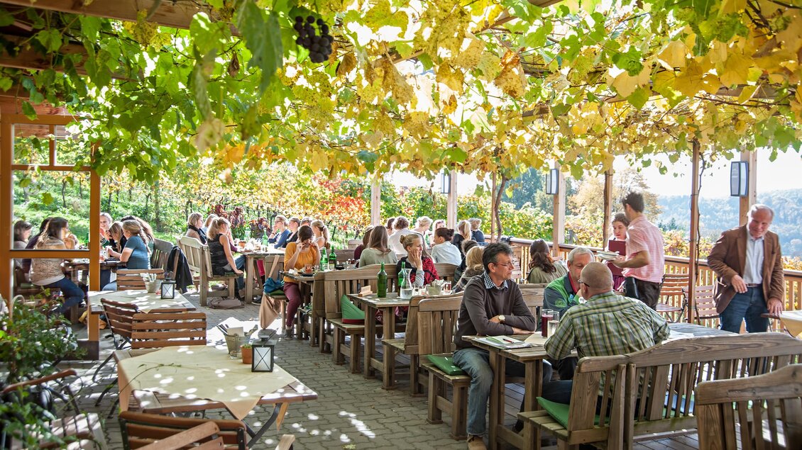 Eine einladende Terrasse mit gemütlichen Holzstühlen und Tischen, umgeben von grünen Weinreben. Gäste genießen das schöne Wetter und die Aussicht. | © Rudi Ferder
