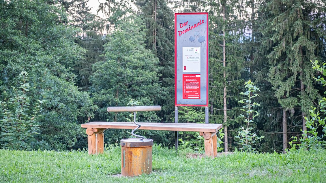 neben der Bank befindet sich ein Informationsschild mit dem Titel „Der Dominante“. Es zeigt eine Station der Erlebnis Schilcher Weinwelt (Schilcher-Rundweg). | © @jöbstlflorian