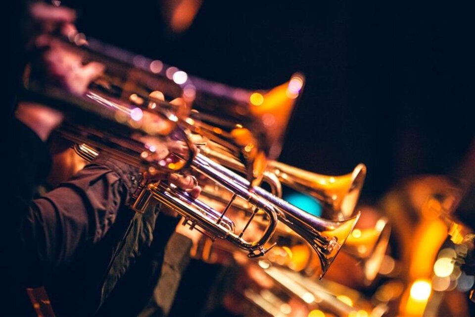 Eine Gruppe von Trompeten in der Aufführung. Die Instrumente glänzen im Licht und sind von Musikerhänden gehalten. | © AdobeStock_314035843