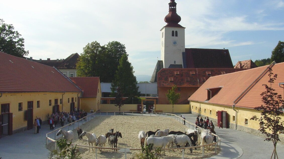 Ein malerischer Pferdehof mit einem Reitplatz und mehreren Pferden. Im Hintergrund steht eine charmante Kirche mit einem markanten Turm. | © SHS