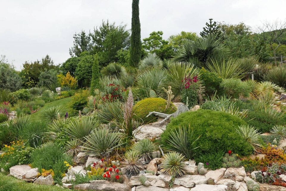Ein schöner Garten mit verschiedenen Pflanzen und Steinen. Die grüne Landschaft ist von bunten Blumen und aufrechten Pflanzen umgeben. | © Familie Gußmagg